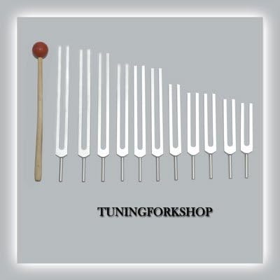 TFS Tuningforkshop 12 Adet Mineral Tuning Çatal Şifa için Çekiç + Kılıfı