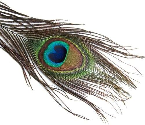 Fancyes 10 adet Tavuskuşu Gözü Kuyruk Süsleme El Sanatları Şapka Dekor 9-13 İnç