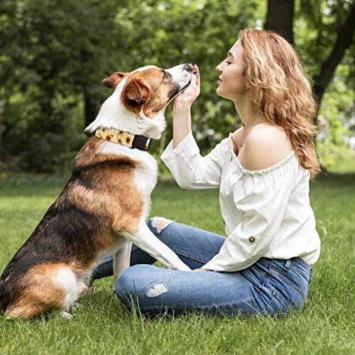 CıyvoLyeen 3 ADET Ayçiçeği köpek tasması Bandana Tasma Seti Küçük Orta Evcil Yavru Açık Yürüyüş Koşu Eğitim Yaz Sonbahar