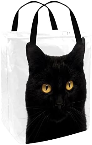 Siyah Kedi Baskı Katlanabilir çamaşır sepeti, 60L Su Geçirmez çamaşır sepetleri çamaşır Kutusu Giysi Oyuncak Depolama