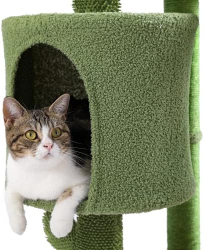 FUZOFUİZ Kedi Ağacı Kulesi için Kapalı Kediler | Kedi Kınamak ile Hamak ve Çöl Kaktüs Kedi Ağacı Merdiven, kedi Tırmanma