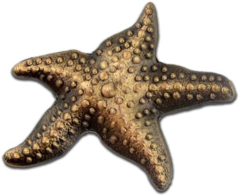 PınMart Denizyıldızı Yaka İğnesi Denizyıldızı Hikaye Kartı Yapmak Derin Bir Fark Hediye