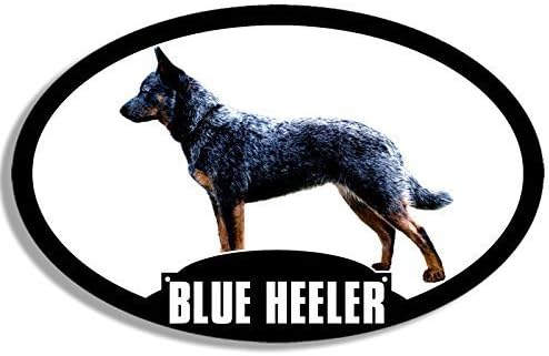GHaynes Dağıtım Oval MAVİ HEELER Sticker Çıkartması (köpek cins çıkartması acd sığır siluet) boyutu: 3x5 inç