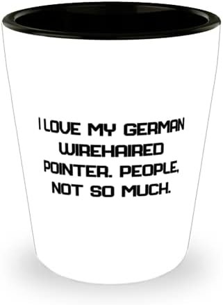 Güzel Alman Wirehaired Pointer Köpek, Alman Wirehaired Pointer'ımı Seviyorum, Alman Wirehaired Pointer Köpek Arkadaşlarımdan