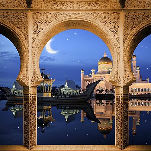 Fotoğraf Backdrop-Sultan Sarayı Dikişsiz Kumaş Arka Plan (10x10)
