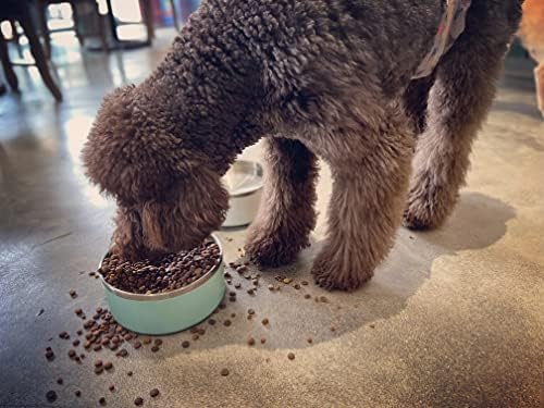 Yiyecek ve Su için İKİTCHEN Köpek Kasesi, 64 Oz Paslanmaz Çelik Evcil Hayvan besleme Kasesi, Dayanıklı Kaymaz Çift